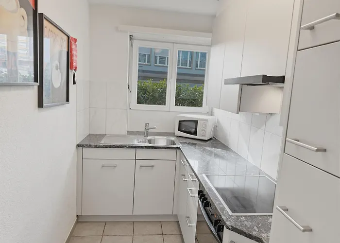 2br Near The And Center - Dahlia 6 * Ζυρίχη